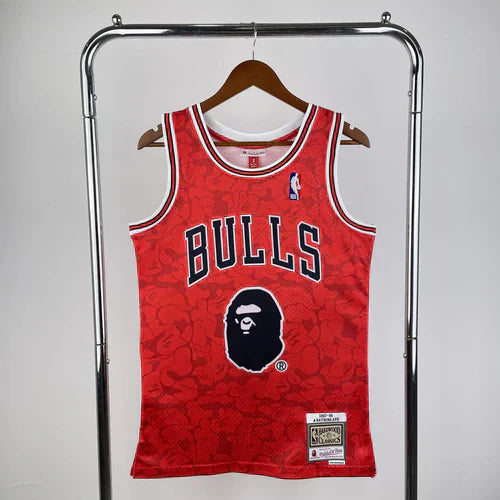 CHICAGO BULLS BAPE RED EDITION (RETRO) 